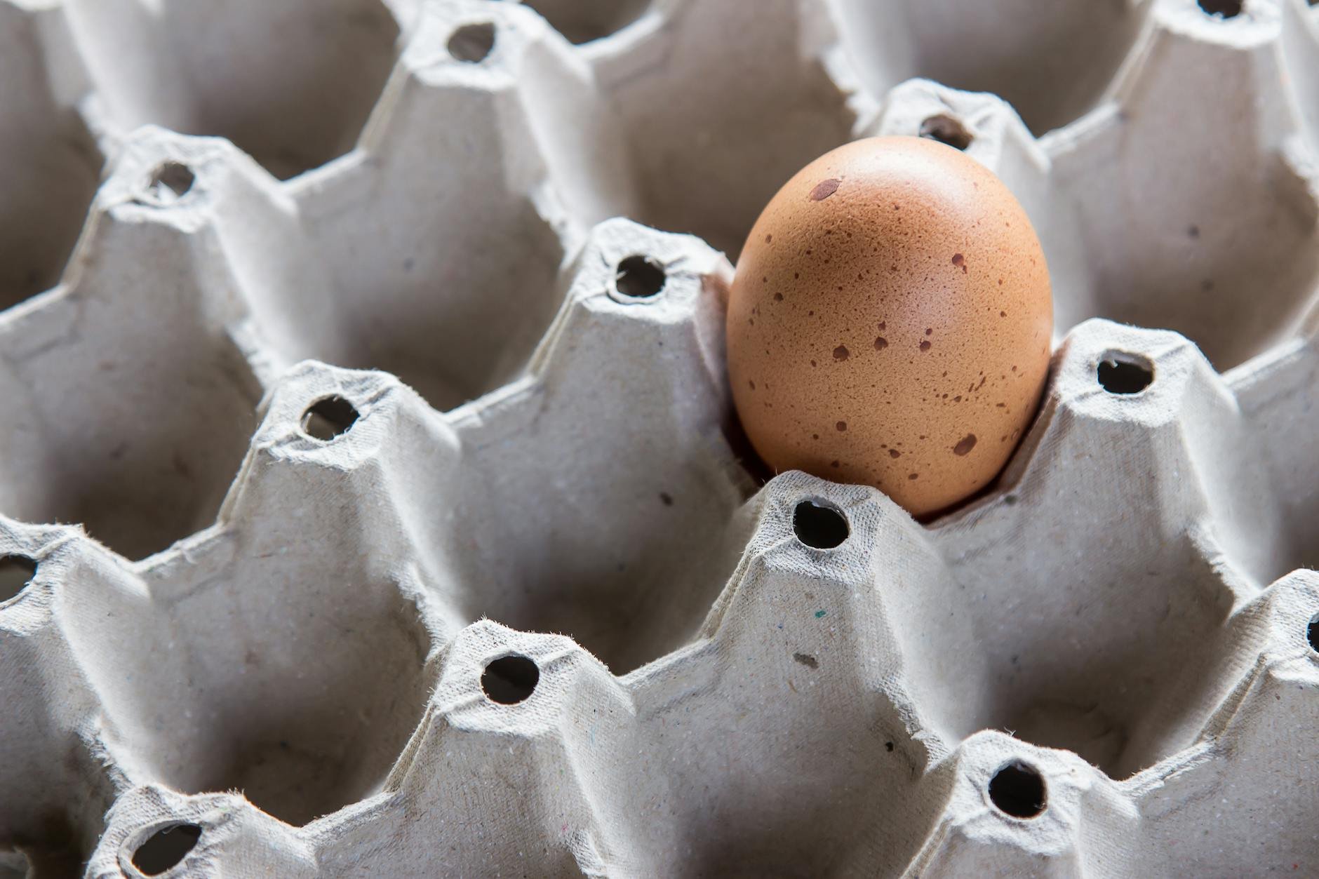 Eco-friendly food packaging materials